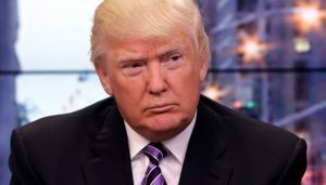 108646-474073-395118-donald7