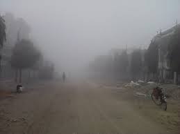 tarai