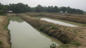 pokhari