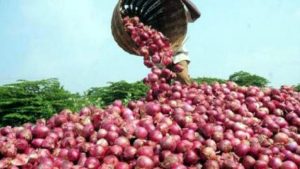 Onion
