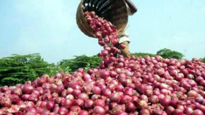 Onion