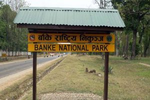 banke-national-park-