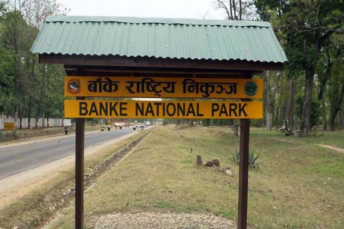 banke-national-park-