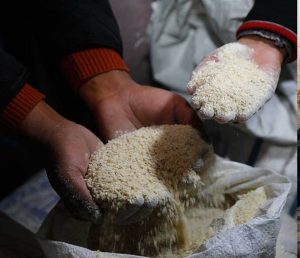 rice