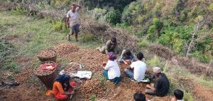 besar kheti