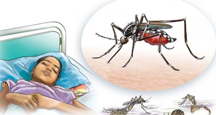 1663652657dengue