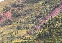 पहिरोमा परी एक जनाको मृत्यु, दुई जना वेपत्ता